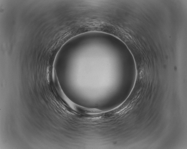 X0000067831156200604131154