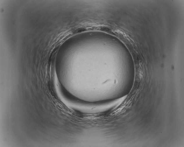 X0000067831157200604131154