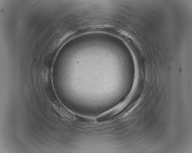 X0000067831161200604131154