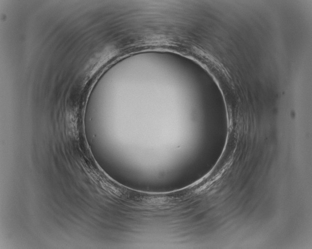 X0000067831162200604131154