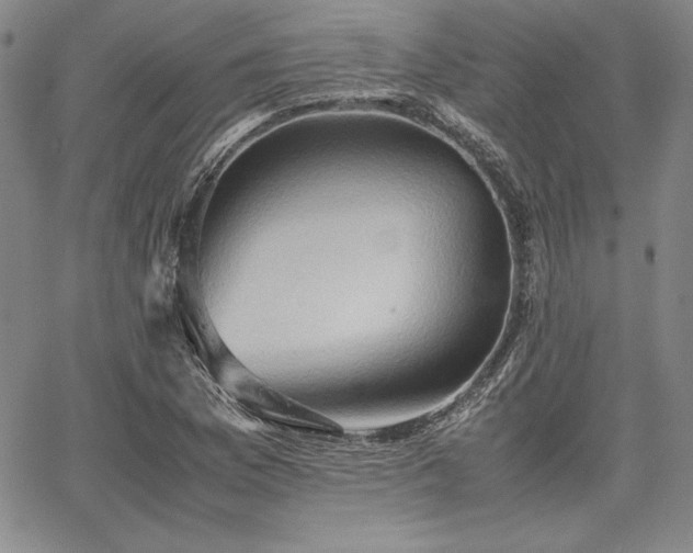 X0000067831169200604131153