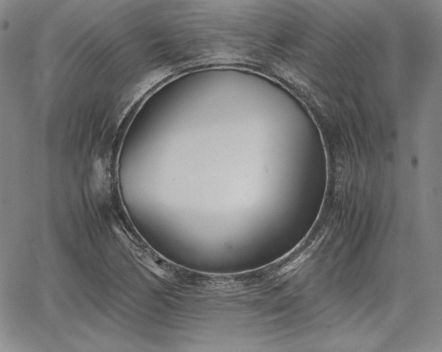 X0000067831170200604131153