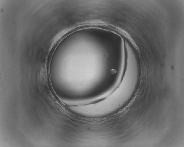 X0000067831176200604131153