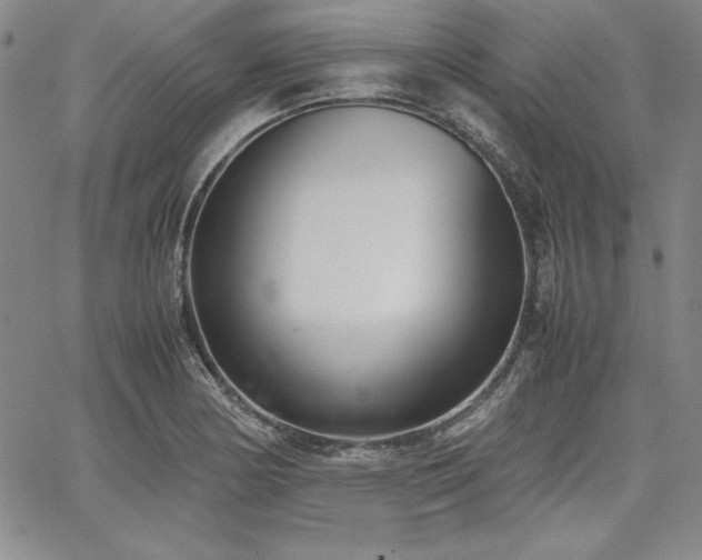 X0000067831178200604131153