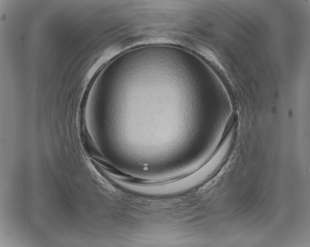 X0000067831181200604131153