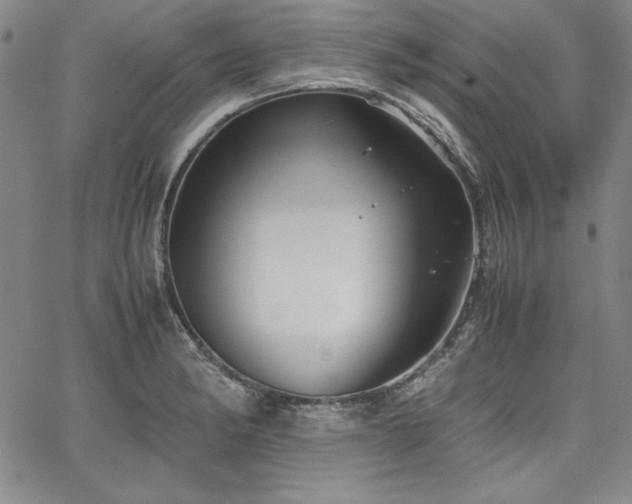 X0000067831182200604131153