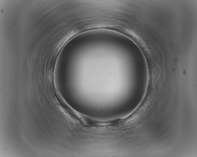 X0000067831185200604131153