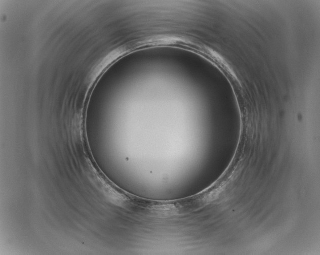 X0000067831186200604131153
