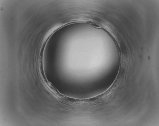 X0000067831187200604131153