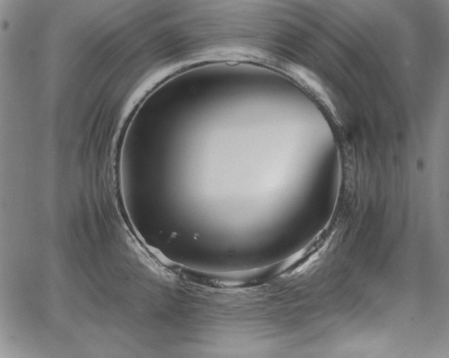 X0000067831192200604131153