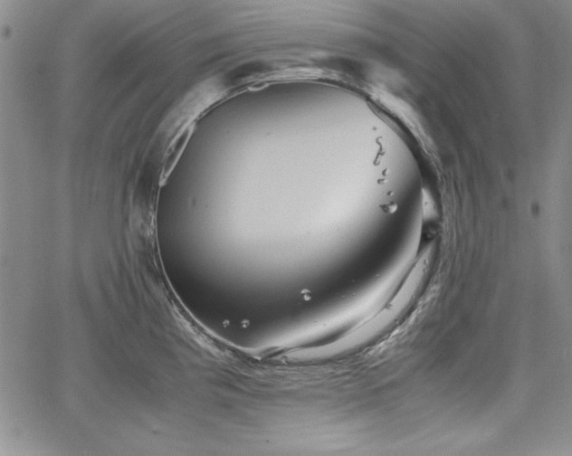 X0000067831193200604131153