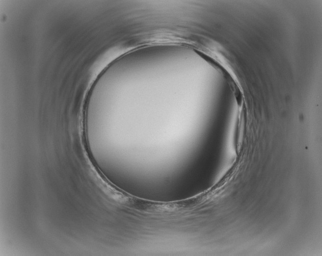 X0000067831195200604131153