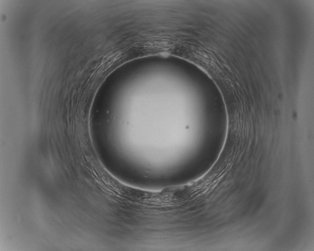 X0000067831201200604131152