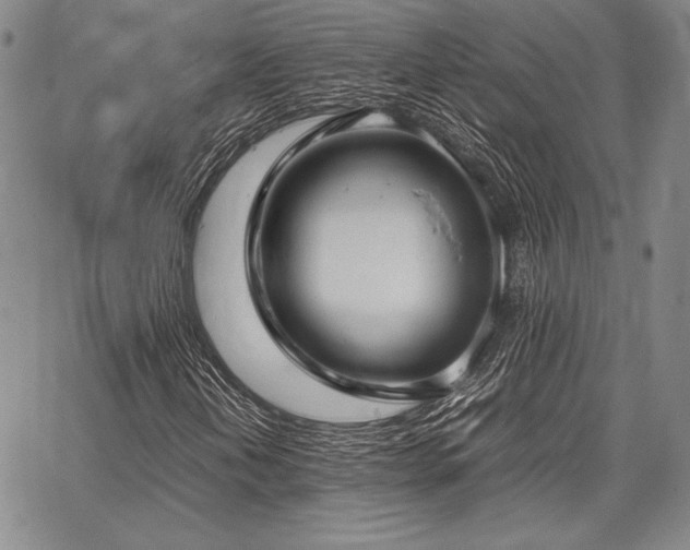 X0000067831202200604131152