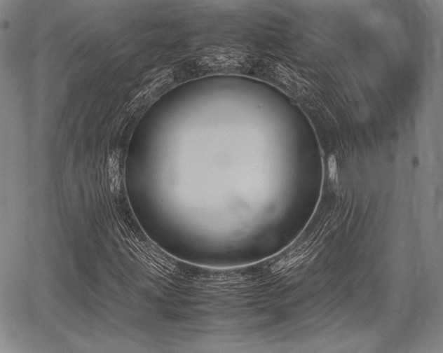 X0000067831203200604131152