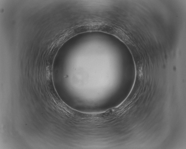 X0000067831204200604131152