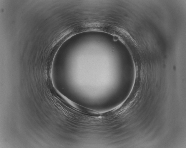 X0000067831209200604131152