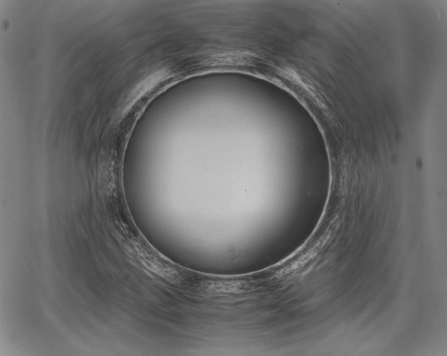 X0000067831211200604131152
