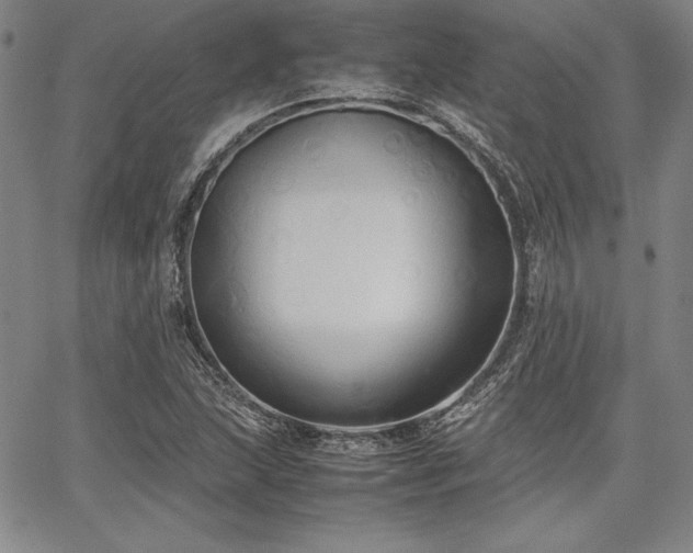 X0000067831215200604131152