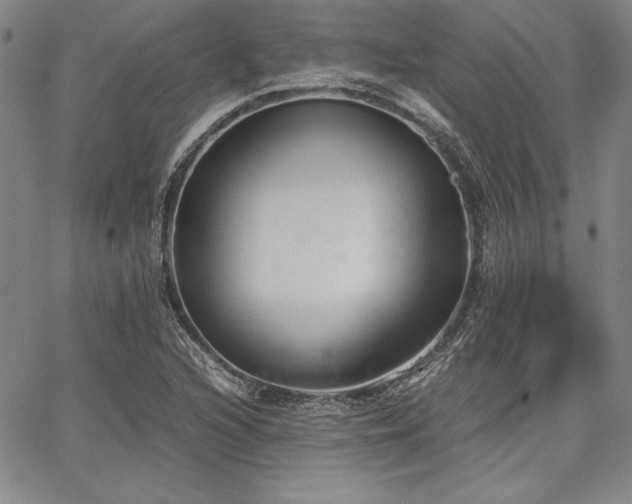 X0000067831216200604131152