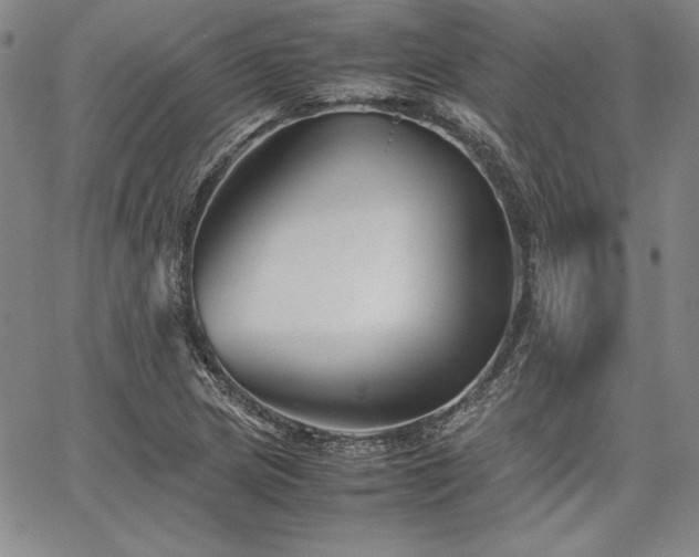 X0000067831217200604131152
