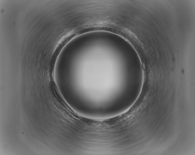 X0000067831218200604131152