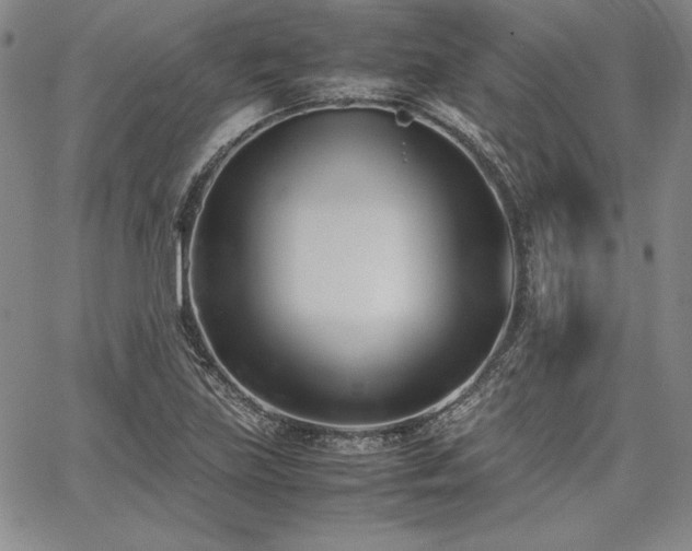 X0000067831219200604131152