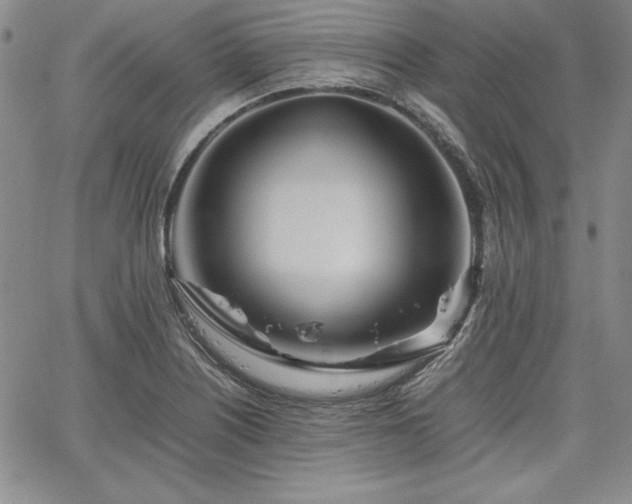 X0000067831226200604131153