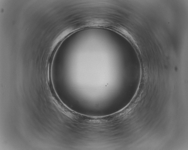 X0000067831227200604131153