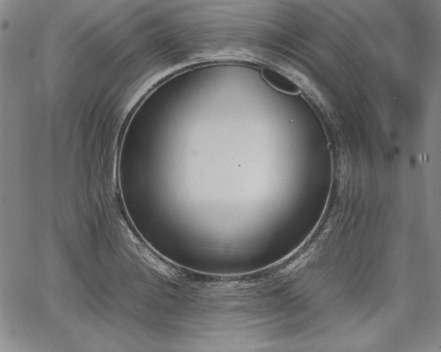 X0000067831228200604131153