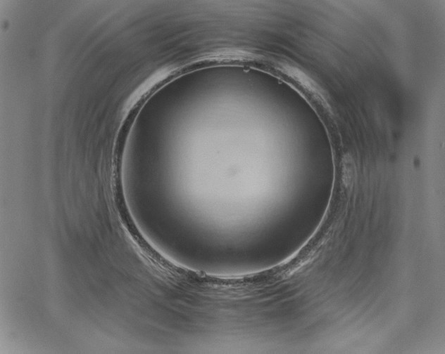 X0000067831229200604131153
