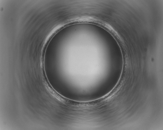 X0000067831232200604131153