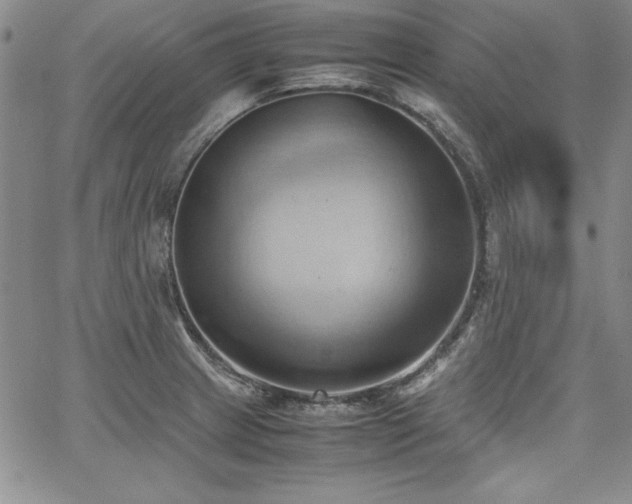 X0000067831233200604131153