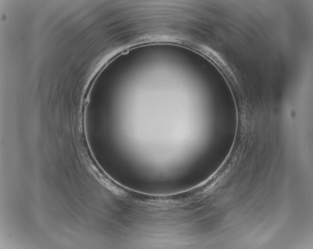 X0000067831236200604131153