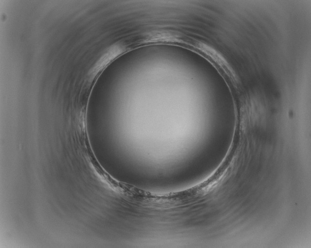 X0000067831241200604131153