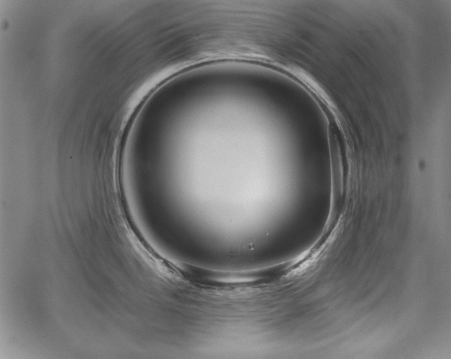 X0000067831246200604131153