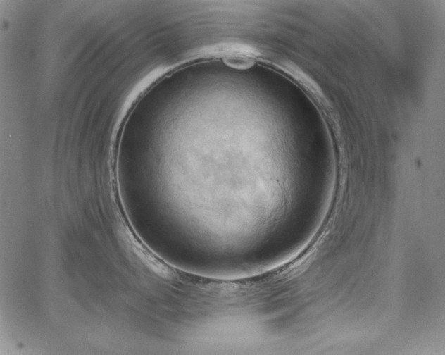 X0000067831248200604131153