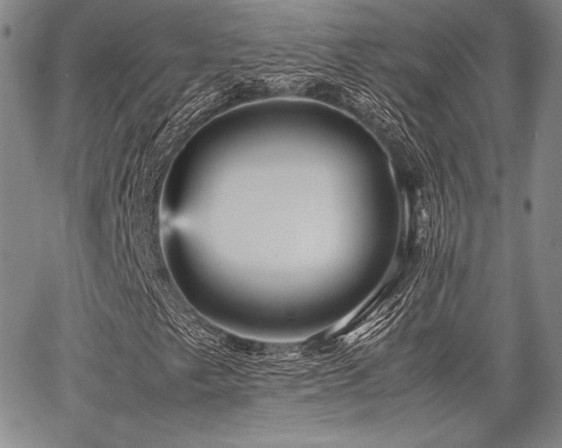 X0000067831249200604131152