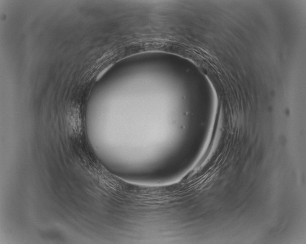 X0000067831252200604131152