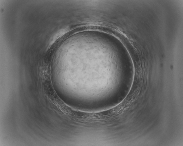 X0000067831255200604131152