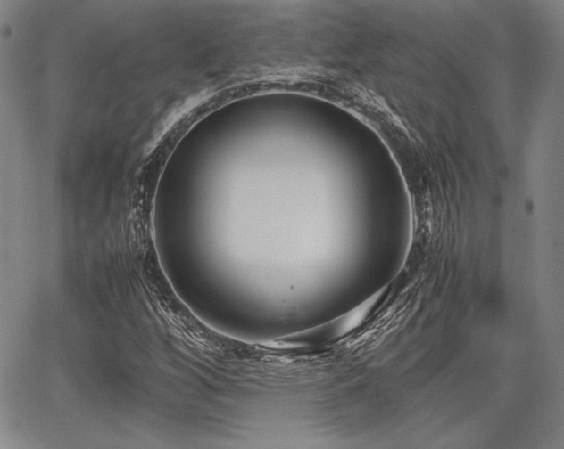 X0000067831256200604131152