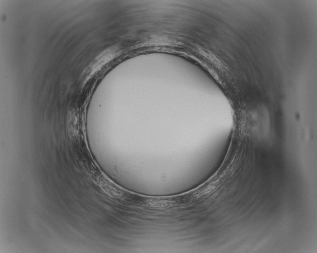 X0000067831258200604131152