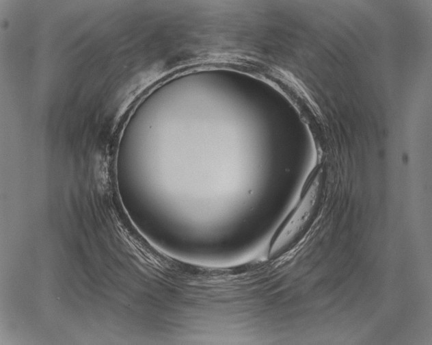 X0000067831260200604131152