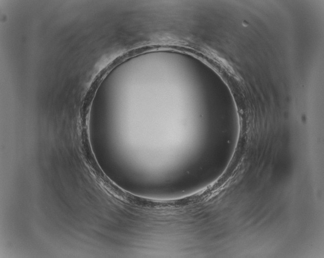 X0000067831264200604131152
