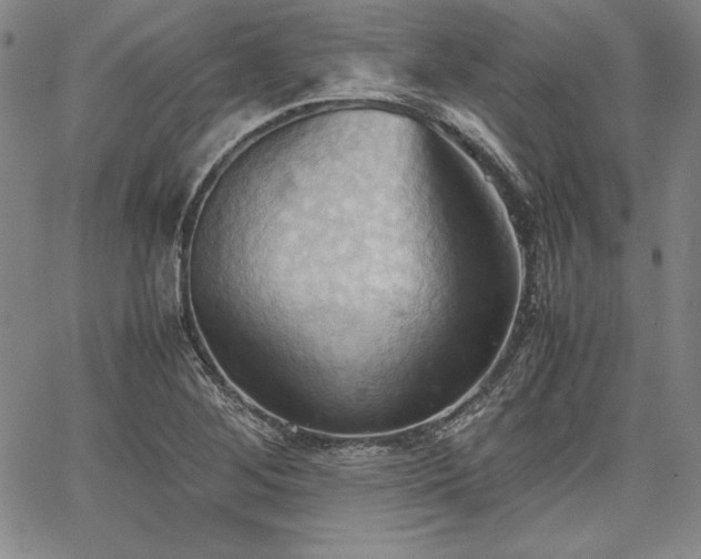 X0000067831268200604131152