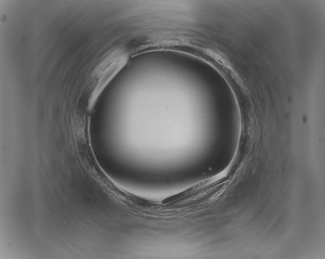 X0000067831273200604131152