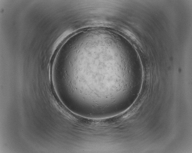 X0000067831275200604131152