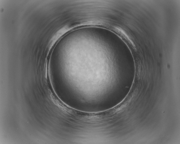 X0000067831276200604131152