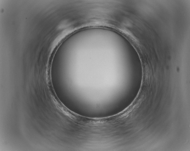 X0000067831278200604131152