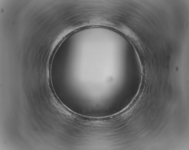 X0000067831280200604131152